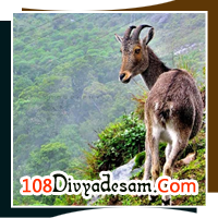 kerala divya desam tour packages